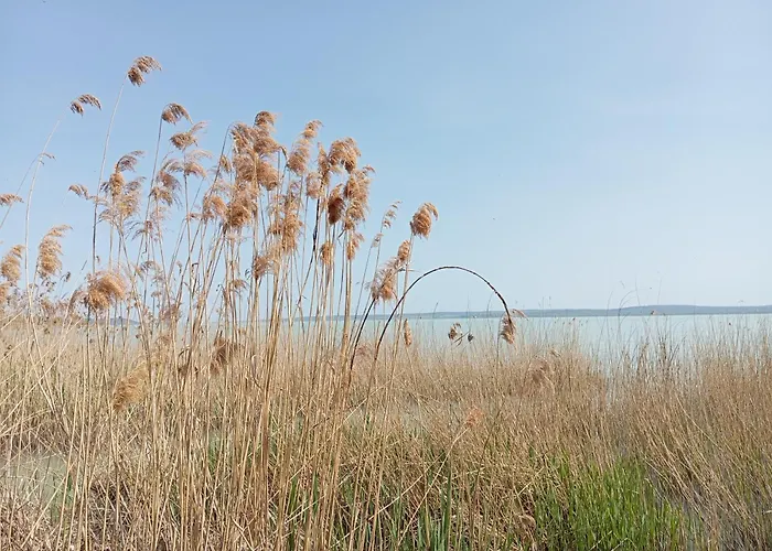 Vadrozsa, Privatgarten Mit Seeblick *